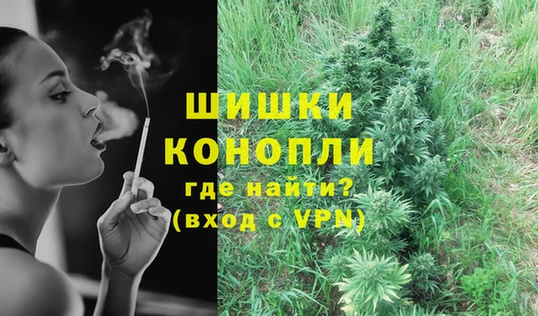 Альфа ПВП Верея