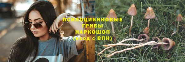 Альфа ПВП Верея