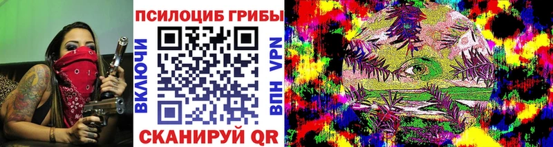Купить где Славгород Псилоцибиновые грибы Cubensis