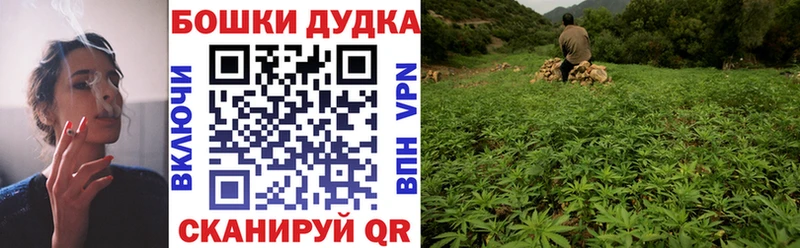 Шишки марихуана ГИДРОПОН  Купить закладки  Славгород 